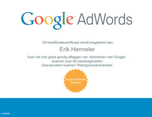 Google Adwords certificaat | erik hermeler